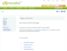 Tablet Screenshot of exenewable.com